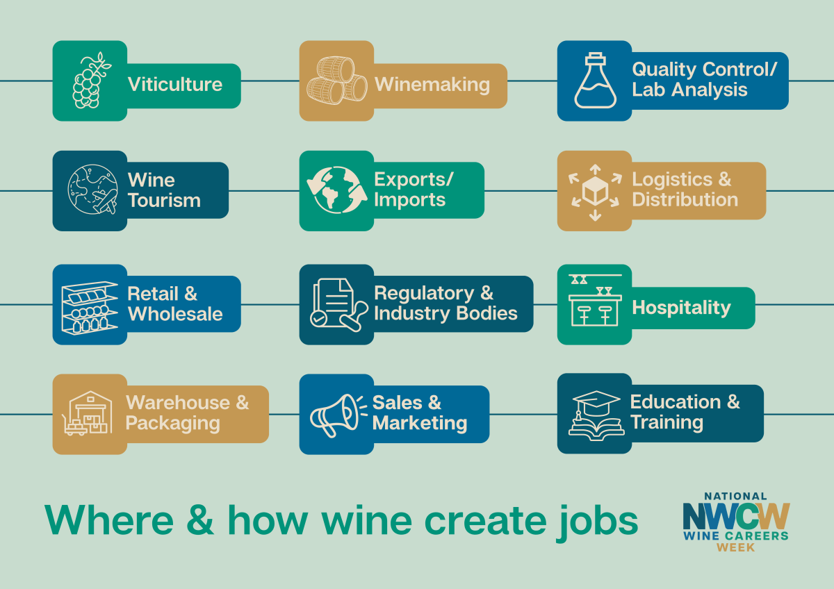 Careers Pathway Infographic