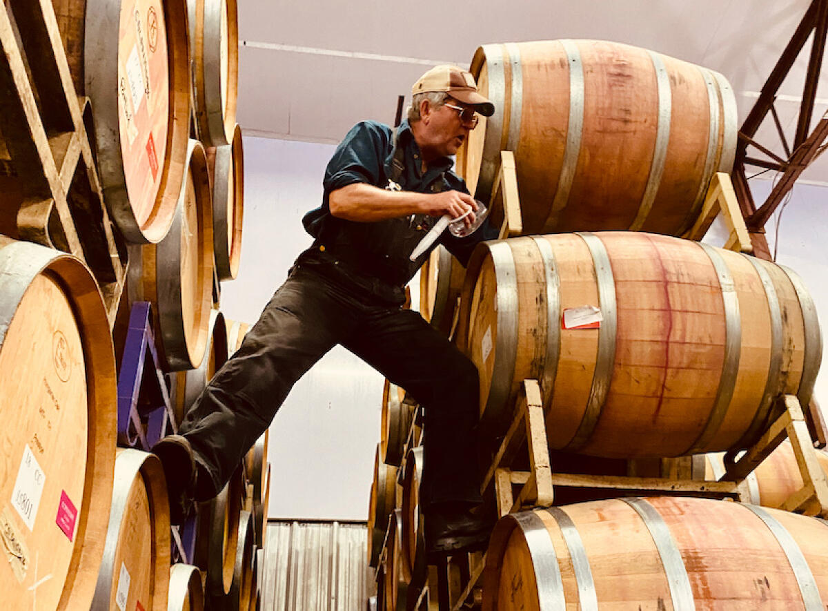 Winemaking & production