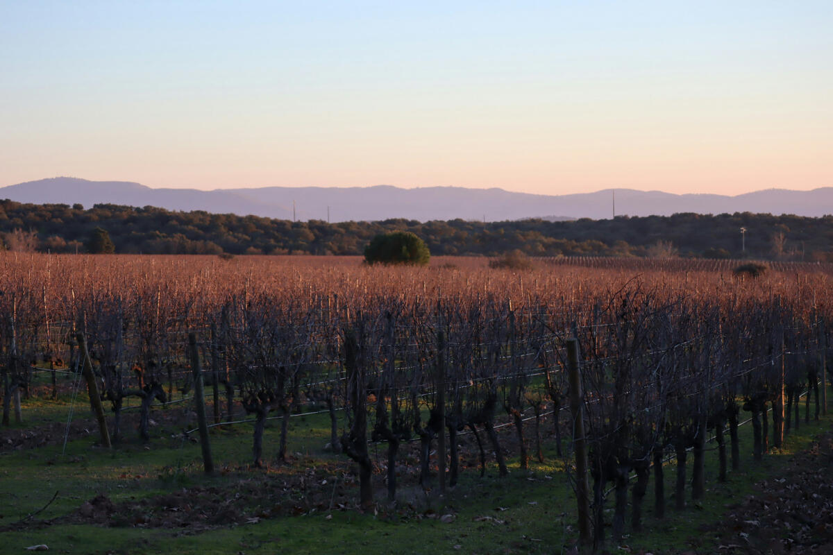 alvaro carrilho A77CxsPpvZI unsplash