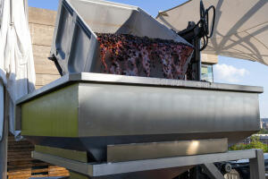 being organic in eu qvlf9jLaoGY unsplash