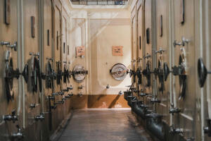 joao vitor marcilio X tMt2i4kTc unsplash