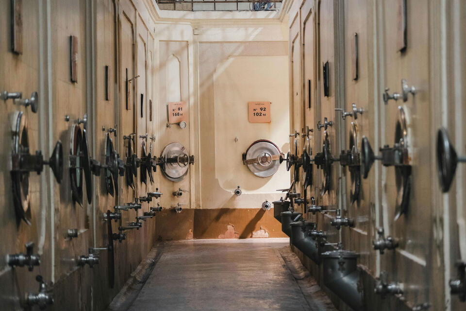 joao vitor marcilio X tMt2i4kTc unsplash